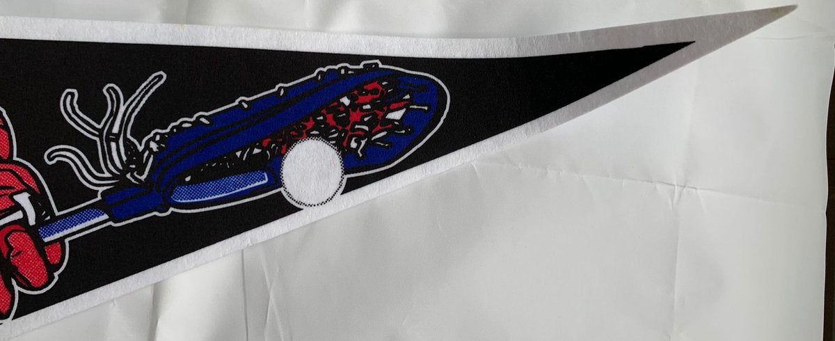 Philadelphia Wings - Lacrosse - Vaantje - Sportvaantje - Wimpel - Vlag - Pennant - Zwart/rood - 31 x 72 cm