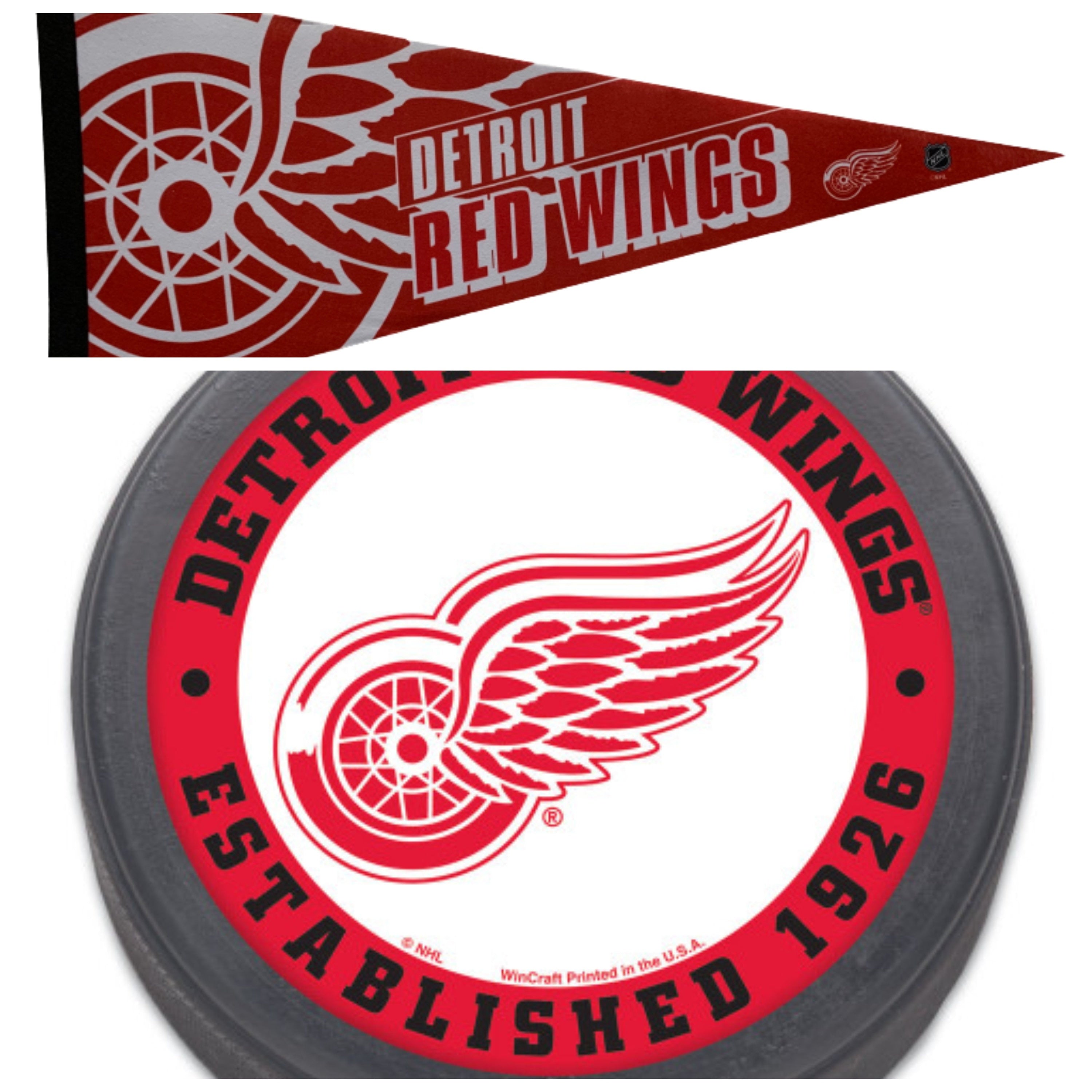 Detroit Red Wings pennant wings flag NHL pennants vaantje vlaggetje fanion ice hockey flag ijshockey usa ice hockey pennant detroit hockey