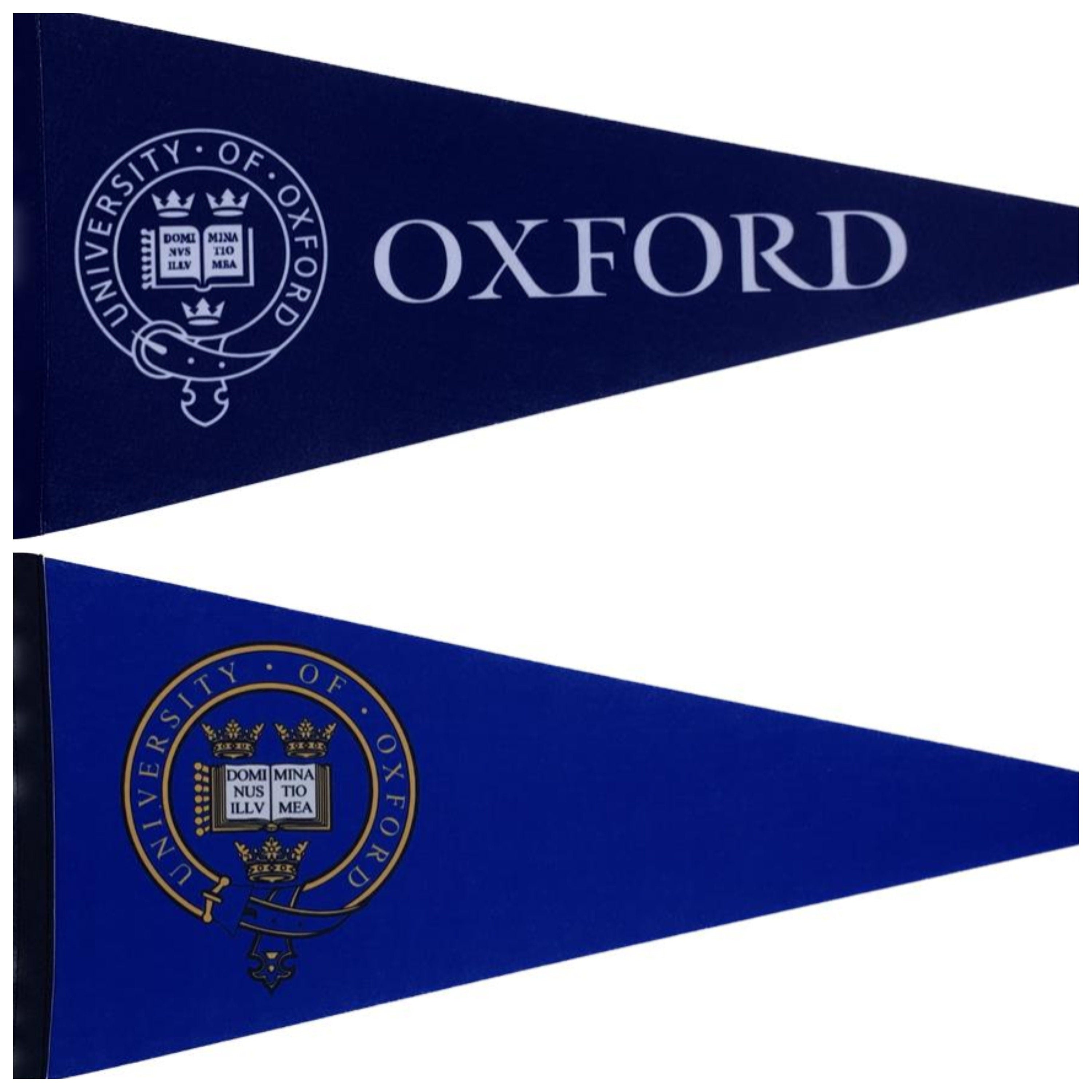 Universiteit van Oxford wimpels vaantje vlaggetje vlag fanion wimpel vlag fahne drapeau Oxford University gift oxford uni vlag uk gift uk ox - Blue