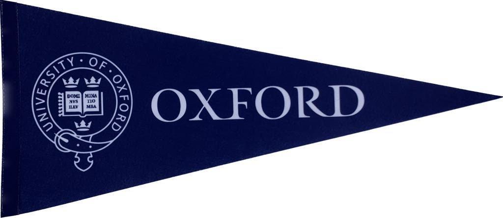 Universiteit van Oxford wimpels vaantje vlaggetje vlag fanion wimpel vlag fahne drapeau Oxford University gift oxford uni vlag uk gift uk ox - Blue