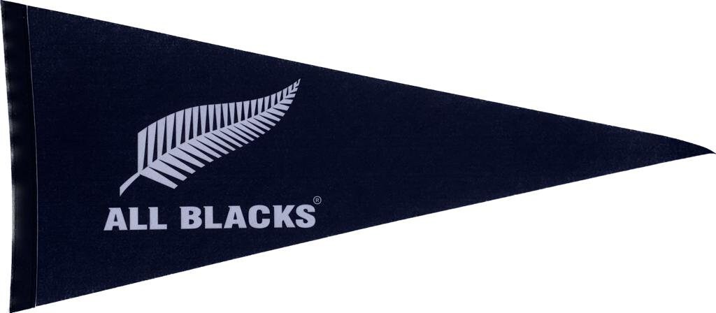 All blacks rugby kiwis pennants allblacks vaantje vlaggetje fanion flag super rugby six nations All blacks rugby new zeland 2024 pennant flag kiwis - All Blacks